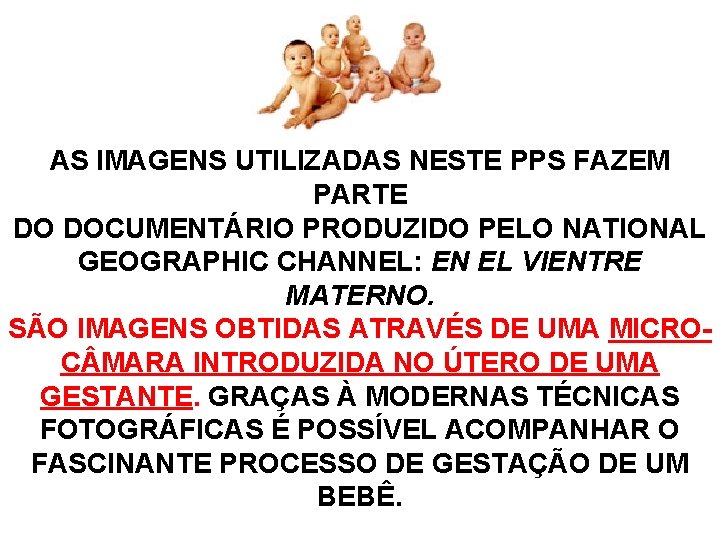 AS IMAGENS UTILIZADAS NESTE PPS FAZEM PARTE DO DOCUMENTÁRIO PRODUZIDO PELO NATIONAL GEOGRAPHIC CHANNEL: