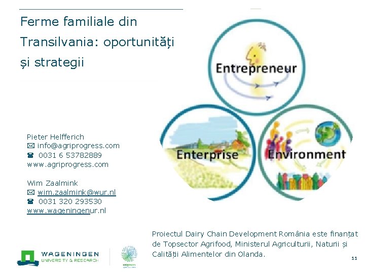 Ferme familiale din Transilvania: oportunități și strategii Pieter Helfferich info@agriprogress. com ( 0031 6