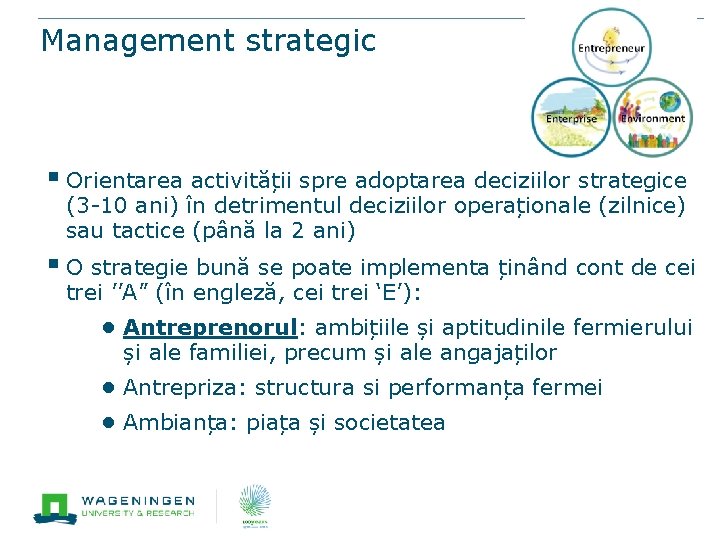 Management strategic § Orientarea activității spre adoptarea deciziilor strategice (3 -10 ani) în detrimentul