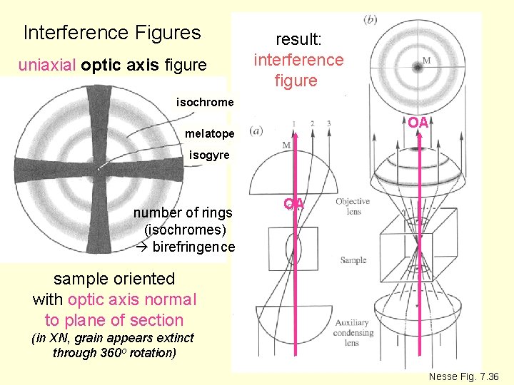 Interference Figures uniaxial optic axis figure result: interference figure isochrome OA melatope isogyre number