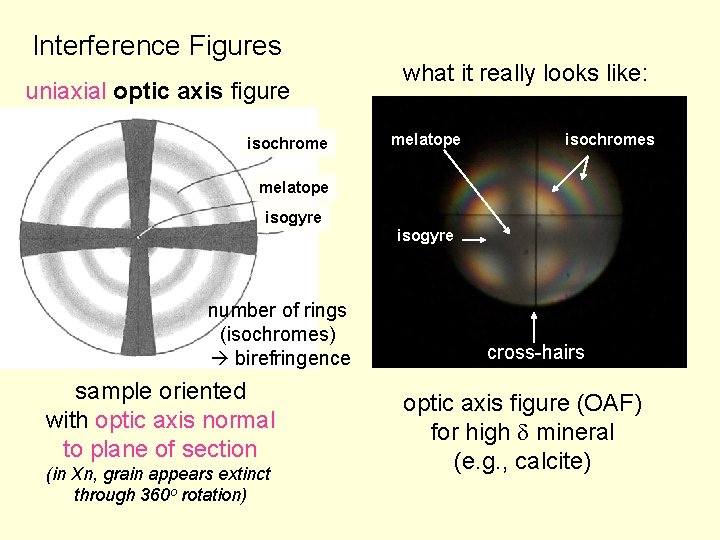 Interference Figures uniaxial optic axis figure isochrome what it really looks like: melatope isochromes