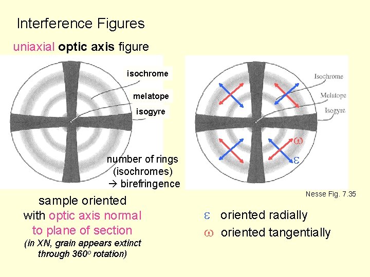 Interference Figures uniaxial optic axis figure isochrome melatope isogyre number of rings (isochromes) birefringence Interference Figures uniaxial optic axis figure isochrome melatope isogyre number of rings (isochromes) birefringence