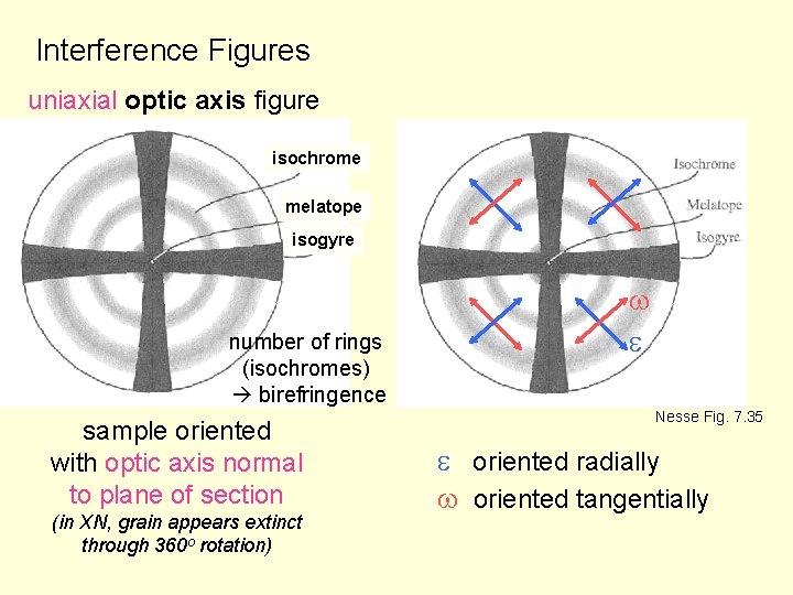 Interference Figures uniaxial optic axis figure isochrome melatope isogyre number of rings (isochromes) birefringence
