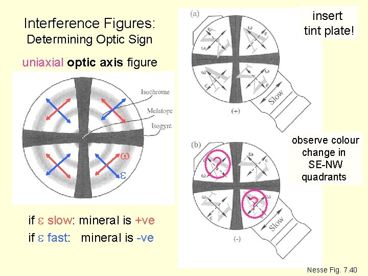 insert tint plate! Interference Figures: Determining Optic Sign uniaxial optic axis figure w e