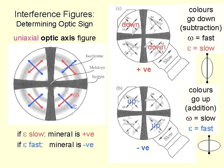 Interference Figures: Determining Optic Sign down uniaxial optic axis figure down colours go down