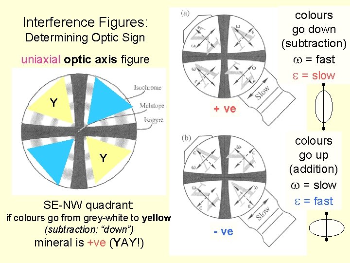 colours go down (subtraction) w = fast e = slow Interference Figures: Determining Optic