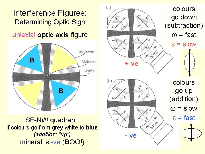 colours go down (subtraction) w = fast e = slow Interference Figures: Determining Optic