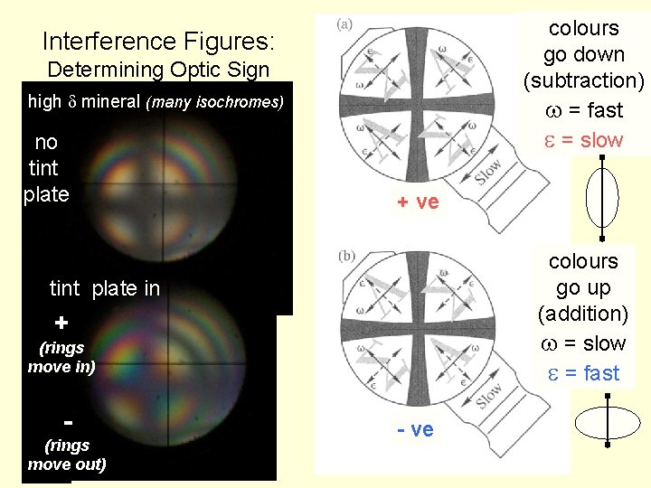 colours go down (subtraction) w = fast e = slow Interference Figures: Determining Optic