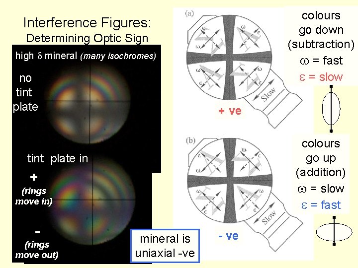 colours go down (subtraction) w = fast e = slow Interference Figures: Determining Optic