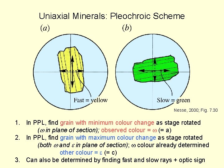 Uniaxial Minerals: Pleochroic Scheme Nesse, 2000; Fig. 7. 30 1. In PPL, find grain