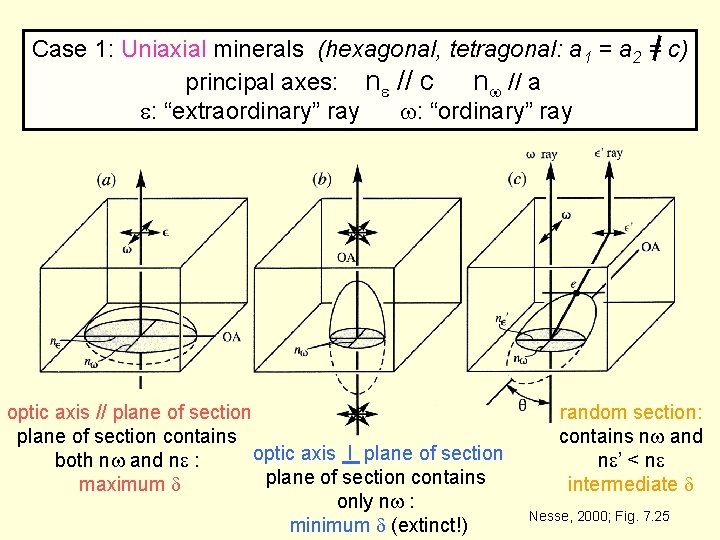 Case 1: Uniaxial minerals (hexagonal, tetragonal: a 1 = a 2 = c) principal Case 1: Uniaxial minerals (hexagonal, tetragonal: a 1 = a 2 = c) principal