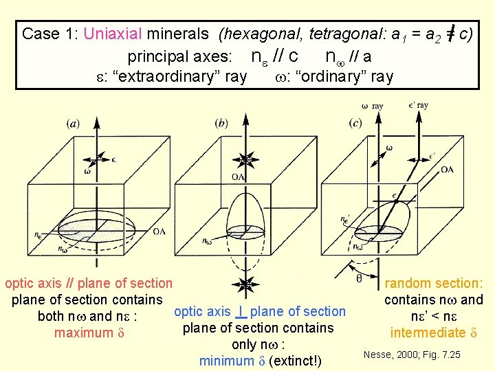 Case 1: Uniaxial minerals (hexagonal, tetragonal: a 1 = a 2 = c) principal