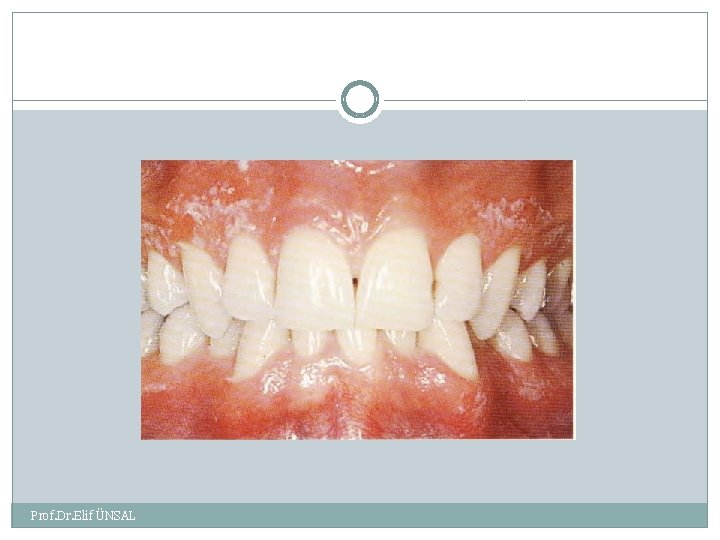 Prof. Dr. Elif ÜNSAL 