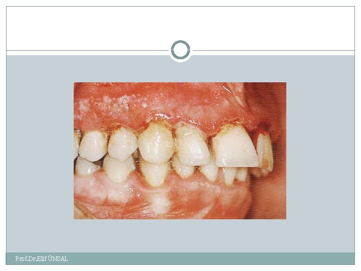 Prof. Dr. Elif ÜNSAL 