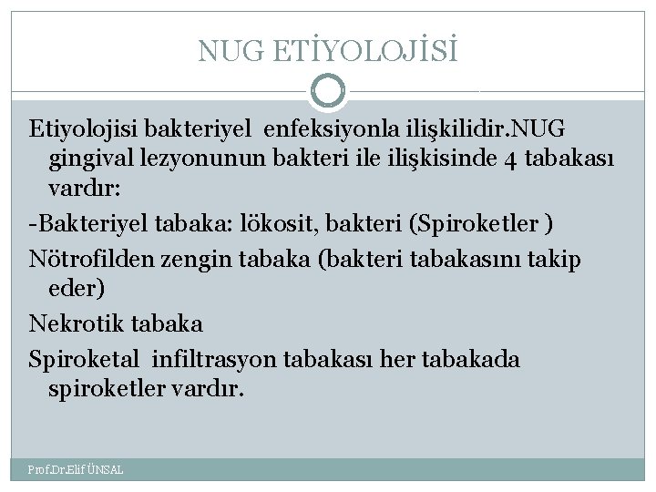 NUG ETİYOLOJİSİ Etiyolojisi bakteriyel enfeksiyonla ilişkilidir. NUG gingival lezyonunun bakteri ile ilişkisinde 4 tabakası