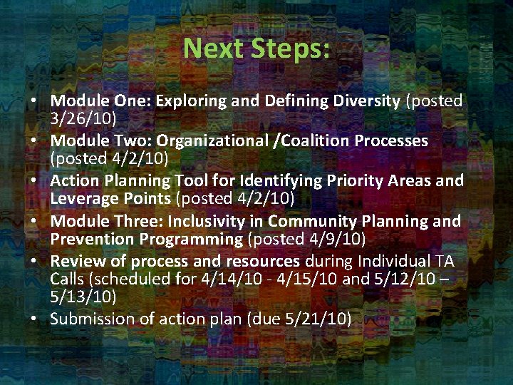 Next Steps: • Module One: Exploring and Defining Diversity (posted 3/26/10) • Module Two:
