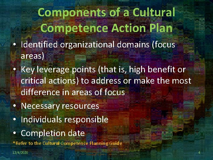 Components of a Cultural Competence Action Plan • Identified organizational domains (focus areas) •