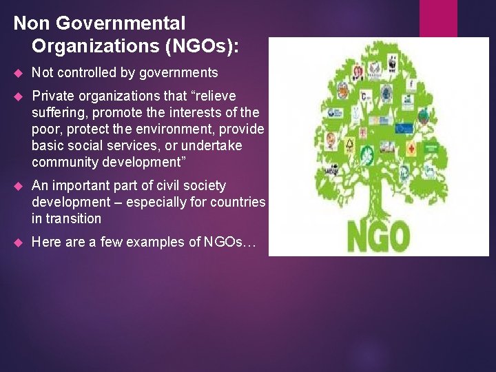 Non Governmental Organizations (NGOs): Not controlled by governments Private organizations that “relieve suffering, promote