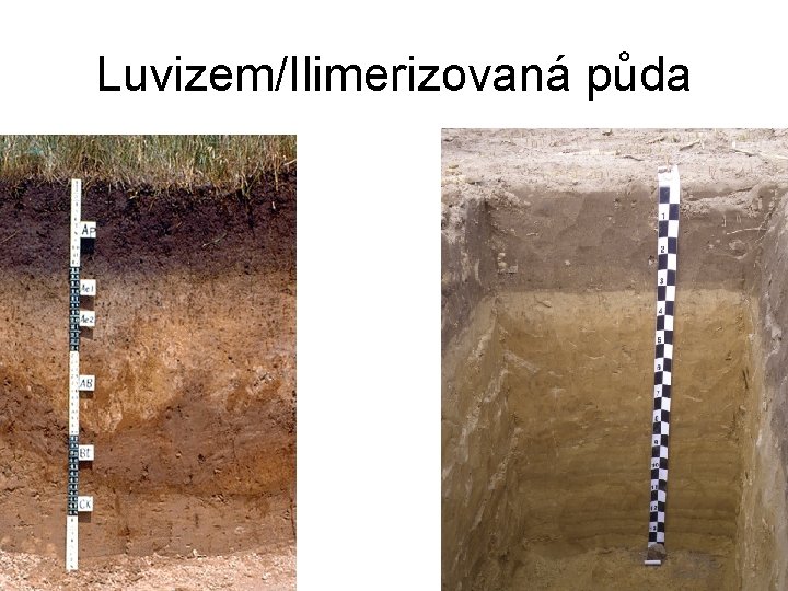 Luvizem/Ilimerizovaná půda 