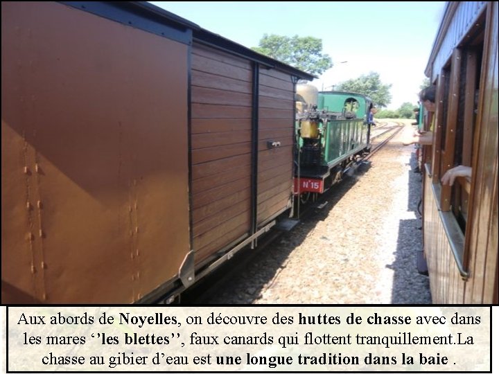 Aux abords de Noyelles, on découvre des huttes de chasse avec dans les mares