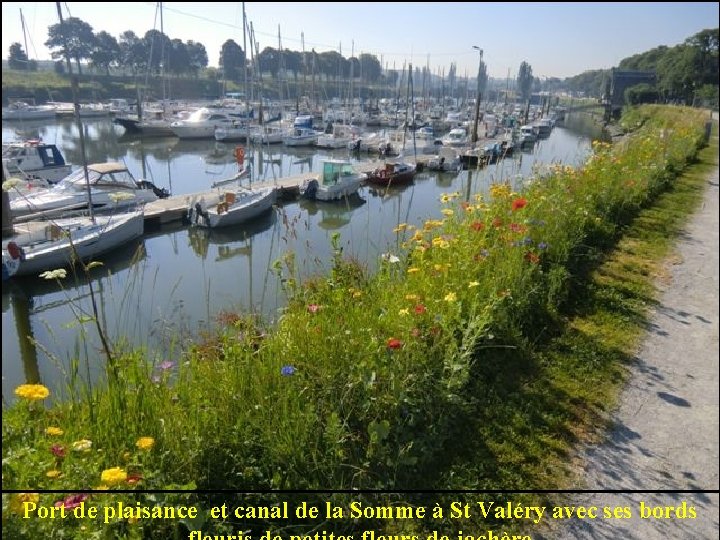 Port de plaisance et canal de la Somme à St Valéry avec ses bords