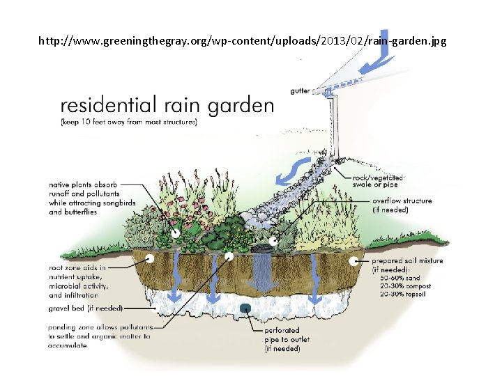 http: //www. greeningthegray. org/wp-content/uploads/2013/02/rain-garden. jpg 