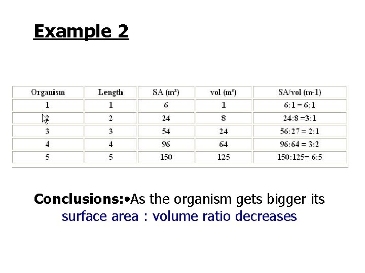 Example 2 Conclusions: • As the organism gets bigger its surface area : volume