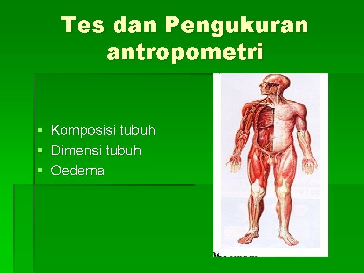 Tes dan Pengukuran antropometri § § § Komposisi tubuh Dimensi tubuh Oedema 