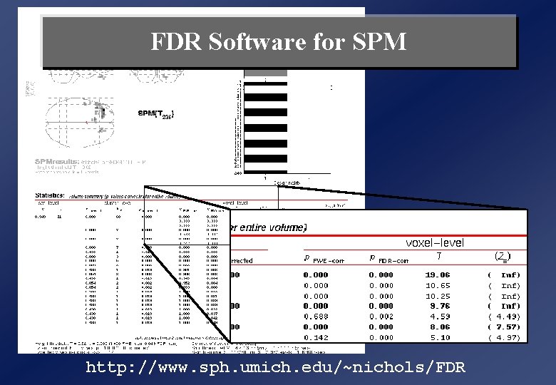 FDR Software for SPM http: //www. sph. umich. edu/~nichols/FDR FDR Software for SPM http: //www. sph. umich. edu/~nichols/FDR