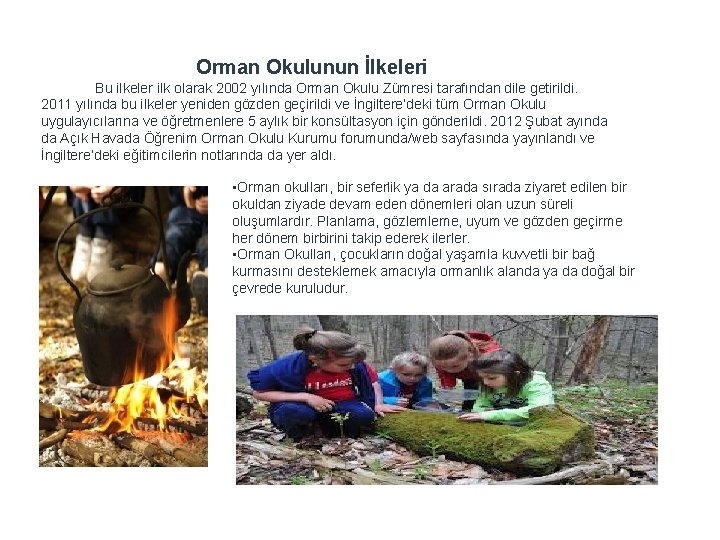 Orman Okulunun İlkeleri Bu ilkeler ilk olarak 2002 yılında Orman Okulu Zümresi tarafından dile