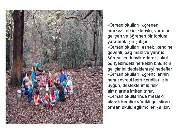  • Orman okulları, öğrenen merkezli etkinlikleriyle, var olan gelişen ve öğrenen bir toplum