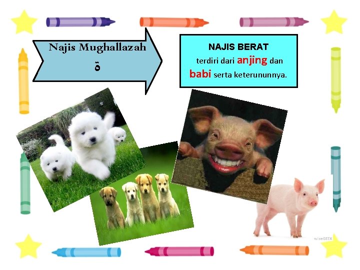 Najis Mughallazah ﺓ NAJIS BERAT terdiri dari anjing dan babi serta keterununnya. 