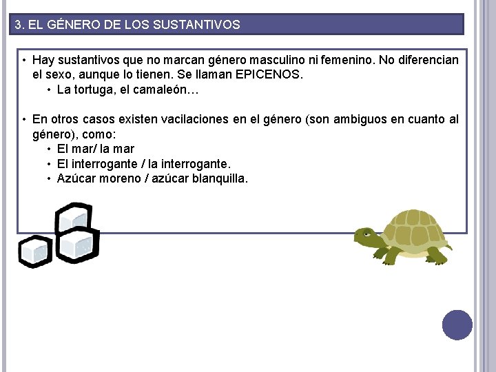 3. EL GÉNERO DE LOS SUSTANTIVOS • Hay sustantivos que no marcan género masculino