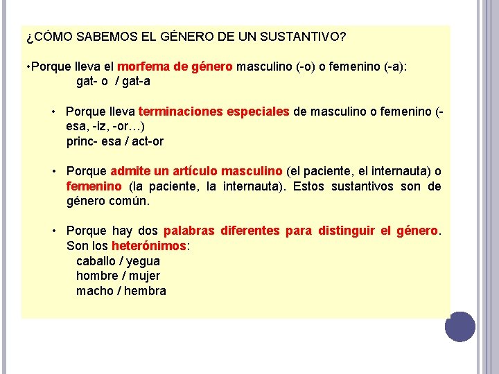 ¿CÓMO SABEMOS EL GÉNERO DE UN SUSTANTIVO? • Porque lleva el morfema de género