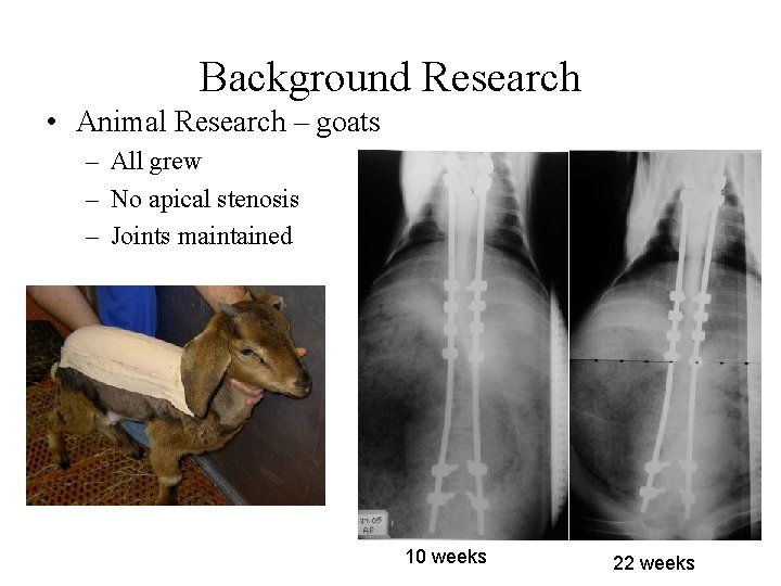 Background Research • Animal Research – goats – All grew – No apical stenosis