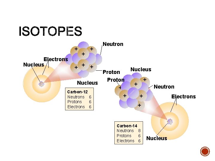 + Electrons Nucleus + + Neutron + + + Proton Nucleus + Carbon-12 Neutrons