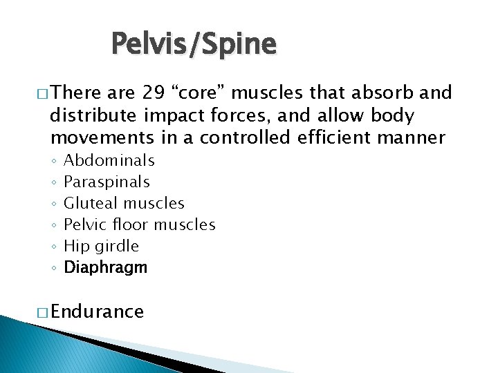 Pelvis/Spine � There are 29 “core” muscles that absorb and distribute impact forces, and