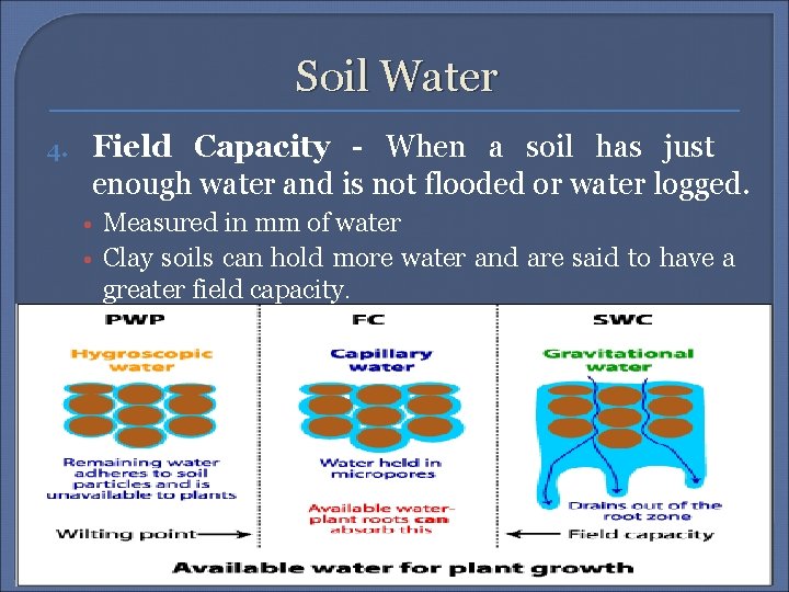 Soil Water 4. Field Capacity - When a soil has just enough water and