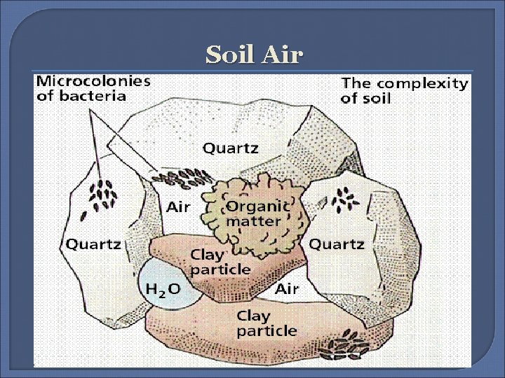 Soil Air 