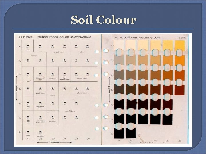Soil Colour 