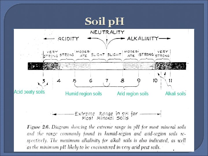 Soil p. H 