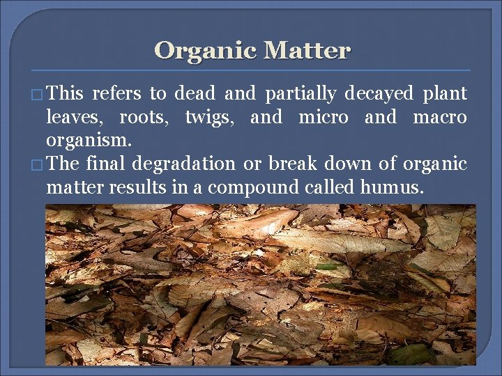 Organic Matter � This refers to dead and partially decayed plant leaves, roots, twigs,