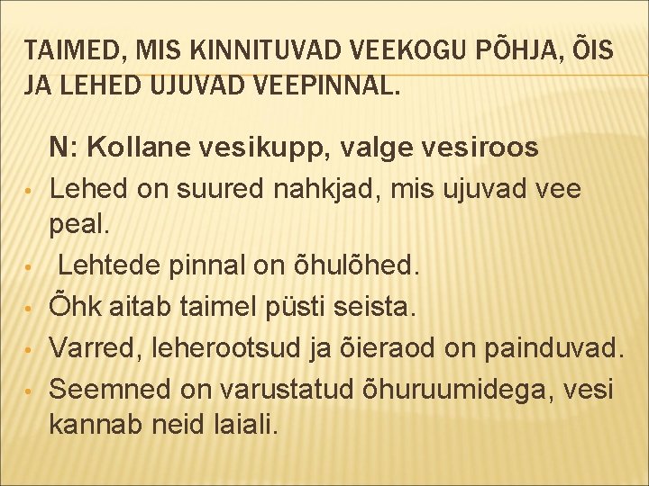 TAIMED, MIS KINNITUVAD VEEKOGU PÕHJA, ÕIS JA LEHED UJUVAD VEEPINNAL. • • • N: