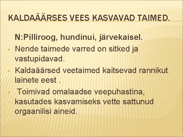 KALDAÄÄRSES VEES KASVAVAD TAIMED. • • • N: Pilliroog, hundinui, järvekaisel. Nende taimede varred