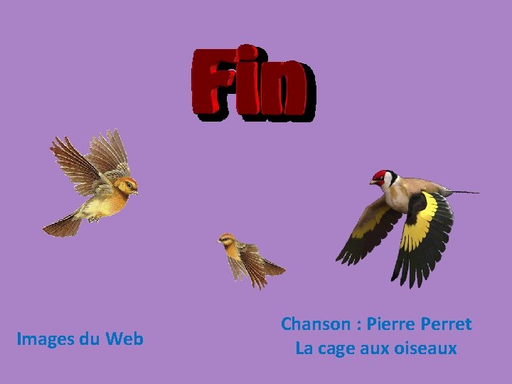 Images du Web Chanson : Pierre Perret La cage aux oiseaux 