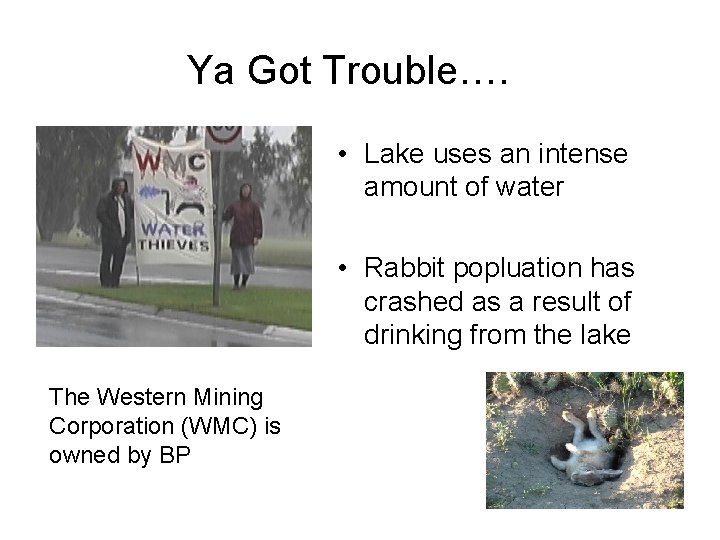 Ya Got Trouble…. • Lake uses an intense amount of water • Rabbit popluation