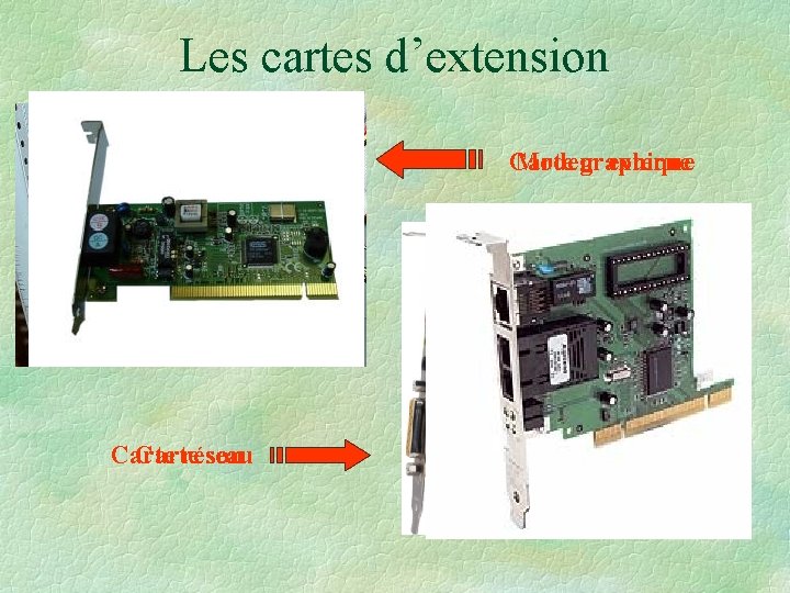 Les cartes d’extension Carte graphique Modem externe Carte réseau Carte son Les cartes d’extension Carte graphique Modem externe Carte réseau Carte son