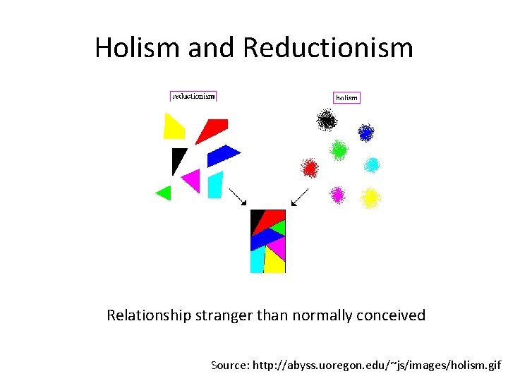 Holism and Reductionism Relationship stranger than normally conceived Source: http: //abyss. uoregon. edu/~js/images/holism. gif