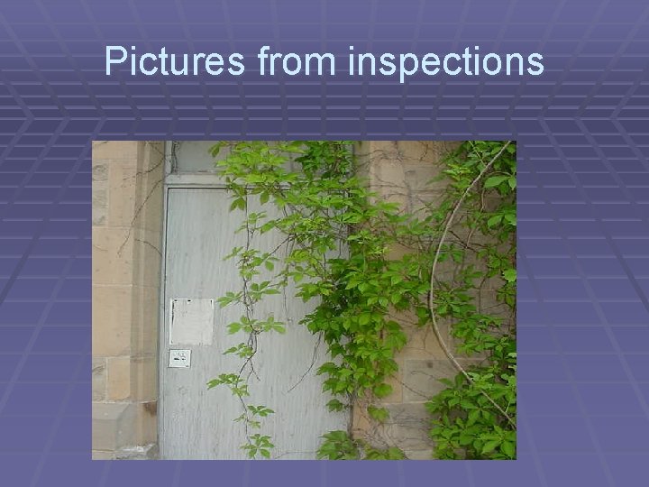 Pictures from inspections 