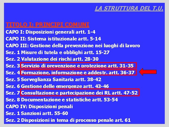 LA STRUTTURA DEL T. U. TITOLO I: PRINCIPI COMUNI CAPO I: Disposizioni generali artt.